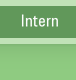 Intern